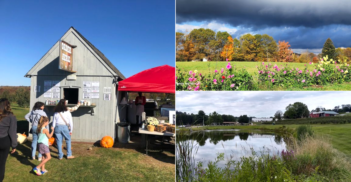 Pick Fresh Blueberries And Enjoy Live Music At This Historic Connecticut Family Farm