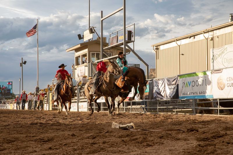 Douglas County Fair (Douglasville, Douglas County)