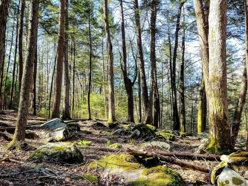 The Park's History Starts Long Before It Became A State Park