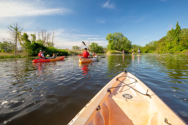 Kalamazoo River - Saugatuck, Allegan County
