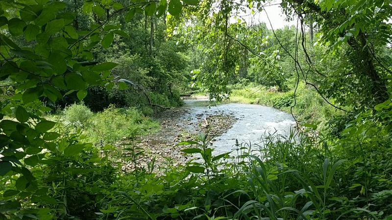 Yellow River State Forest - Harpers Ferry, Allamakee County