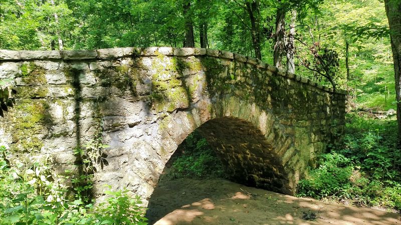 Lacey-Keosauqua State Park - Keosauqua, Van Buren County