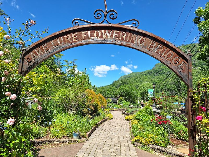 Lake Lure Flowering Bridge - Lake Lure