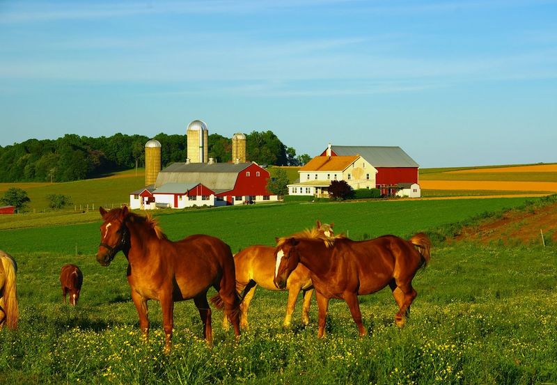 Lancaster County Amish Country - Intercourse, Lancaster County