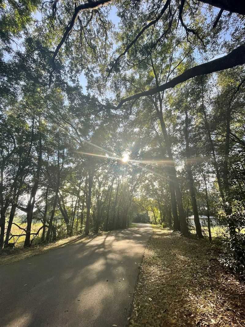 West Orange Trail (Winter Garden)