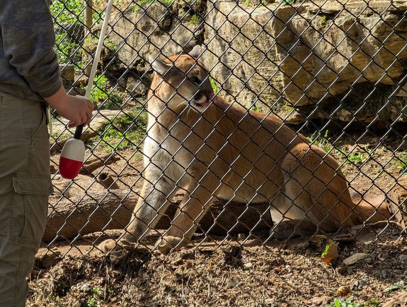 ZooAmerica North American Wildlife Park