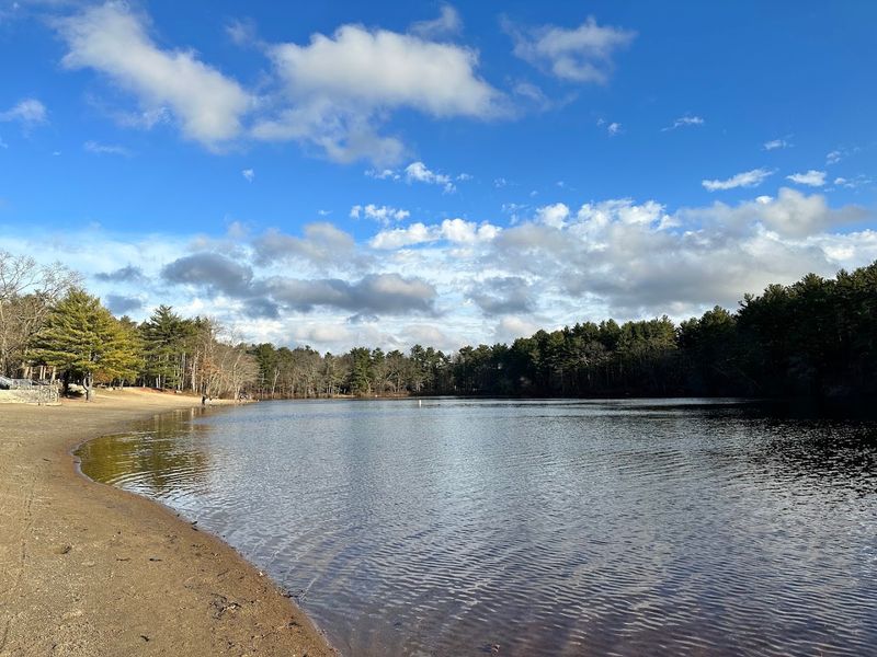 Why It Feels Like A Local Gem