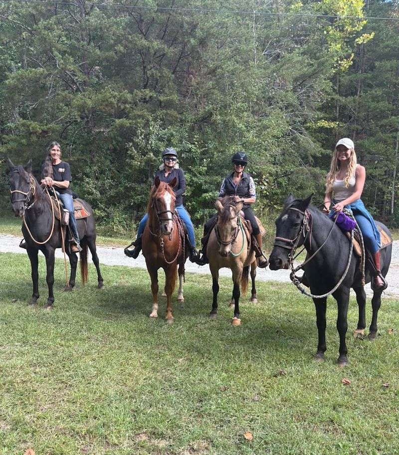 Table Rock State Park Trail - Pickens, Pickens County