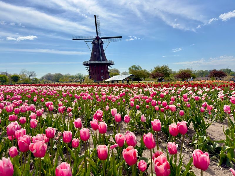 Windmill Island Gardens - Holland