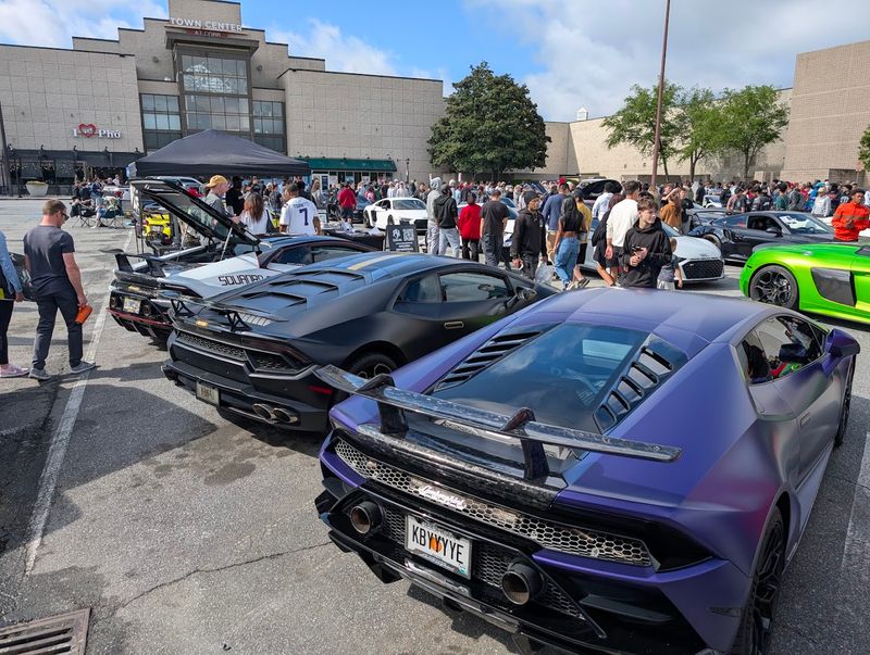 Caffeine and Octane Museum-style Displays