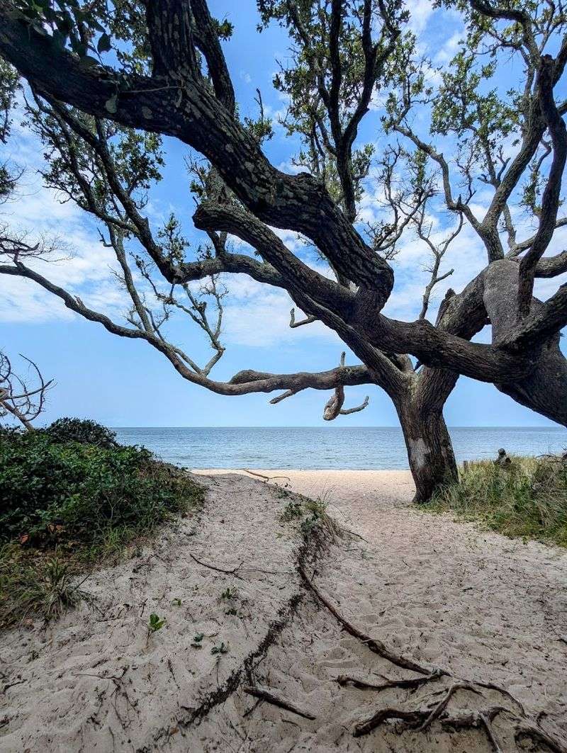 Springer's Point Preserve &mdash; Ocracoke