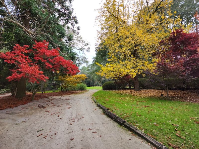 Why This Hidden Gem Keeps Earning Repeat Visits