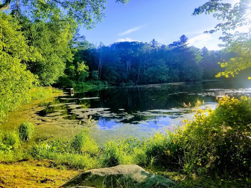 Why Pachaug Feels Like a Secret Worth Sharing