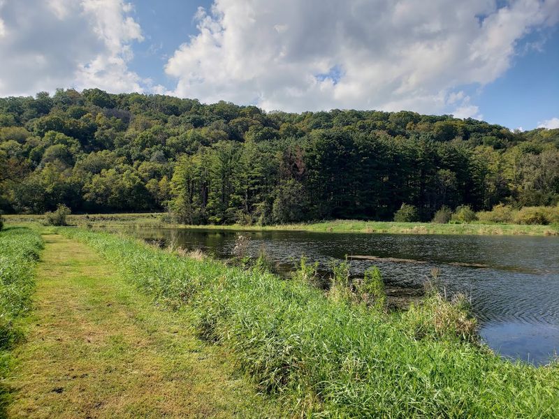 Yellow River State Forest Equestrian Trails - Harpers Ferry, Iowa