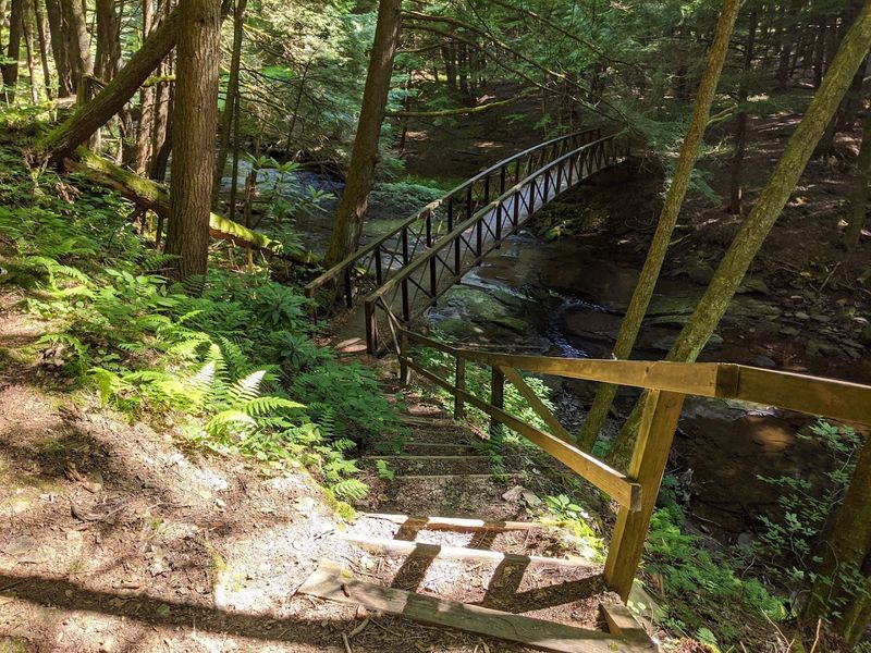 Cook Forest State Park