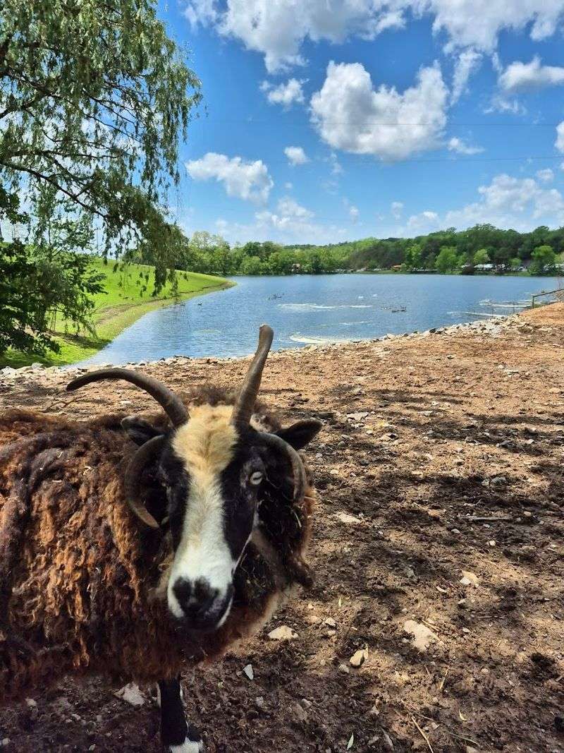 Lake Tobias Wildlife Park & Water Area