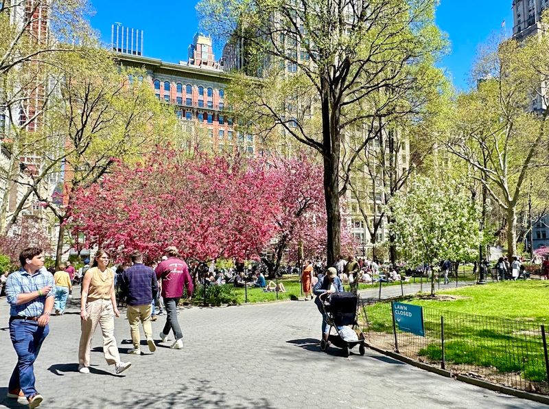 A People-Watching Spot With Real Neighborhood Energy