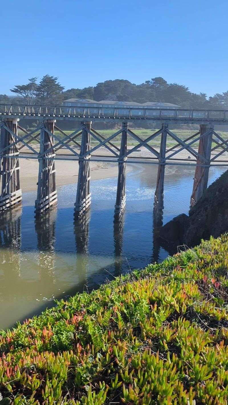 Pudding Creek Trestle
