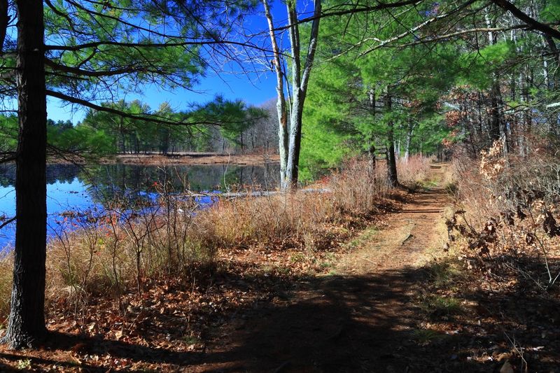 Eight Miles of Trails Wind Through Varied Terrain