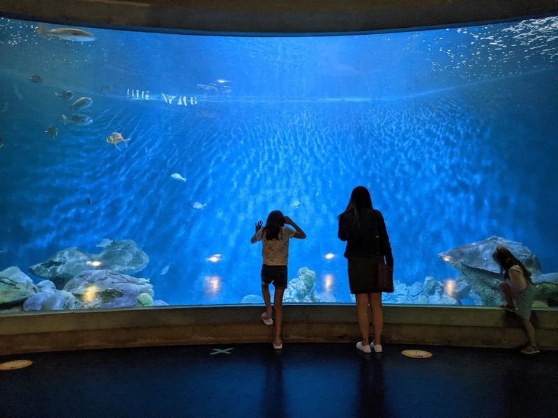 National Mississippi River Museum and Aquarium - Dubuque, Dubuque County