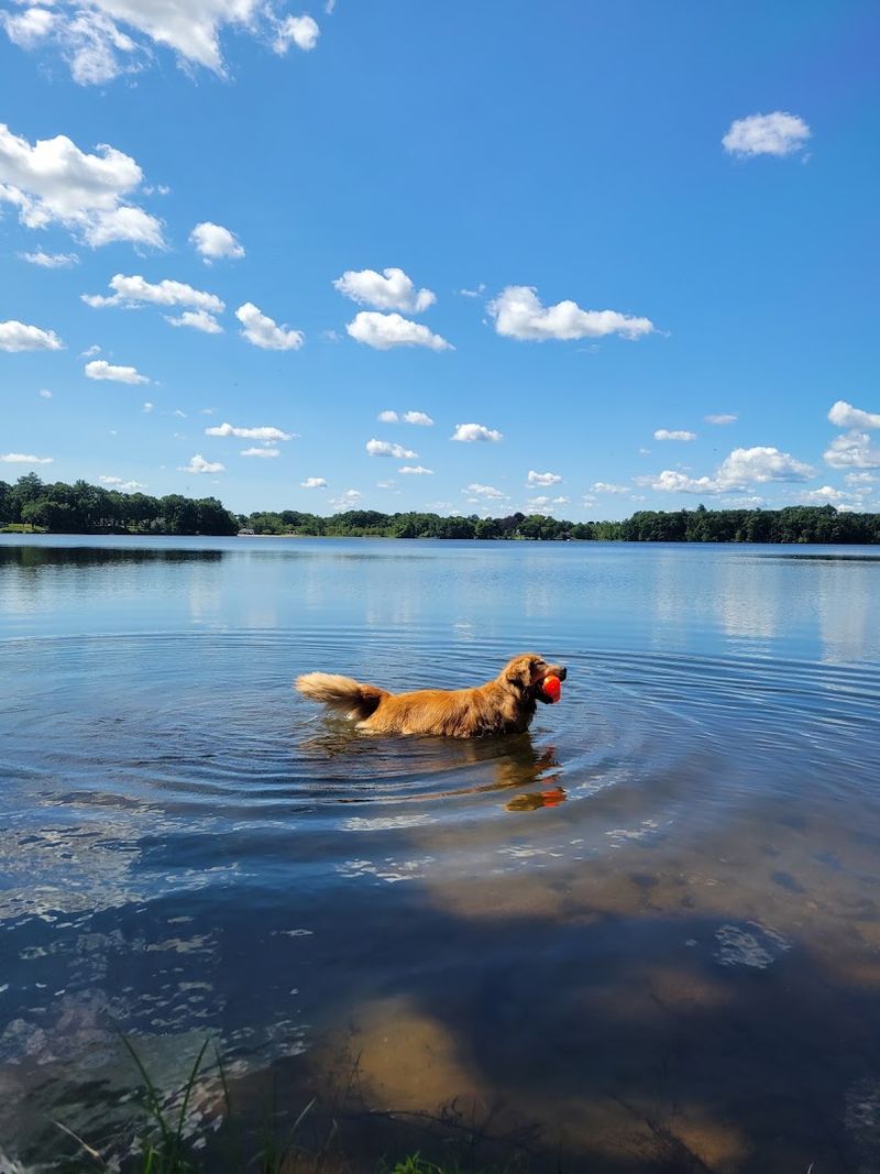Lake Chauncy - Westborough, Worcester County