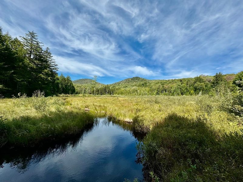 Wellfleet Bay Wildlife Sanctuary - Wellfleet, Barnstable County