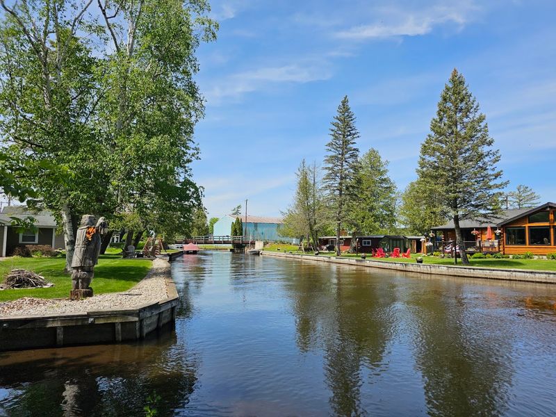 Pet-friendly Perks And Family-friendly Fun 