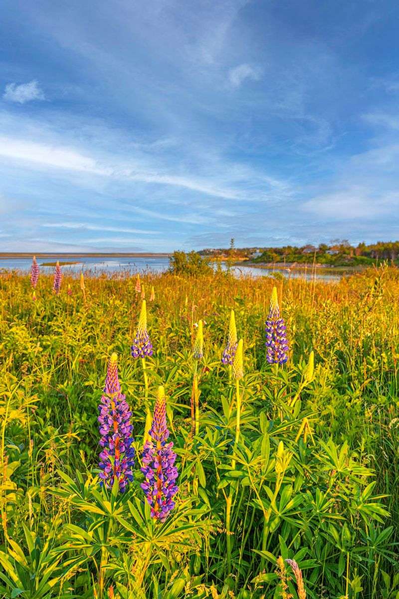 Fort Hill (Eastham)