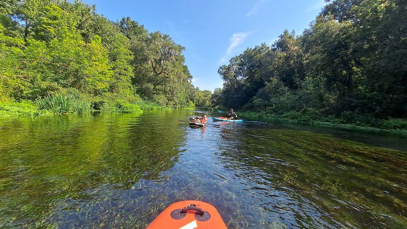 Ichetucknee River (Ichetucknee Springs State Park)