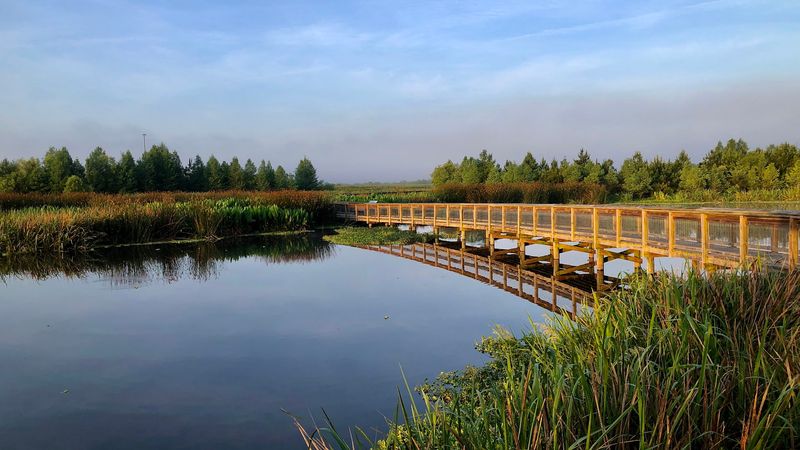 Paynes Prairie Preserve State Park - Micanopy, Alachua County