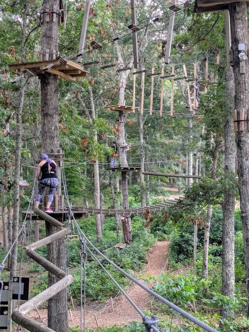 The Adventure Park at Heritage Museums & Gardens