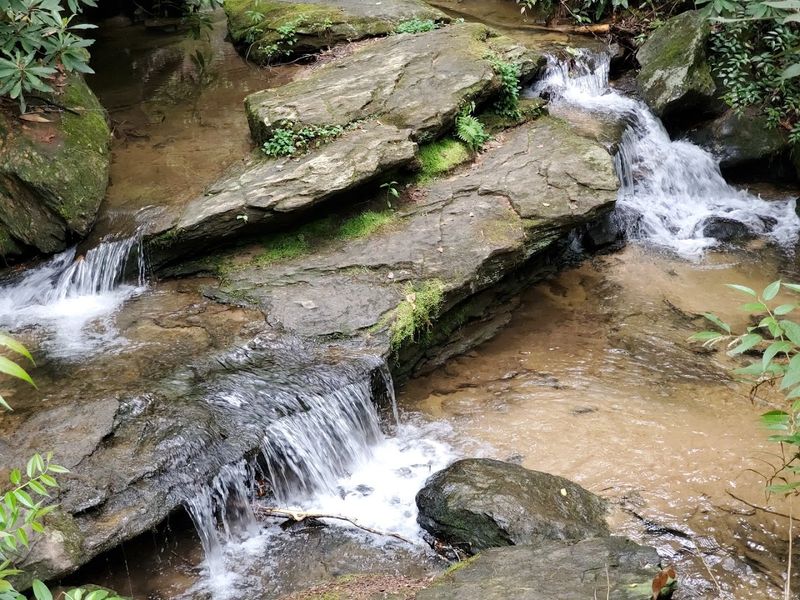 Wildcat Branch Falls Trail - Long Creek, Oconee County