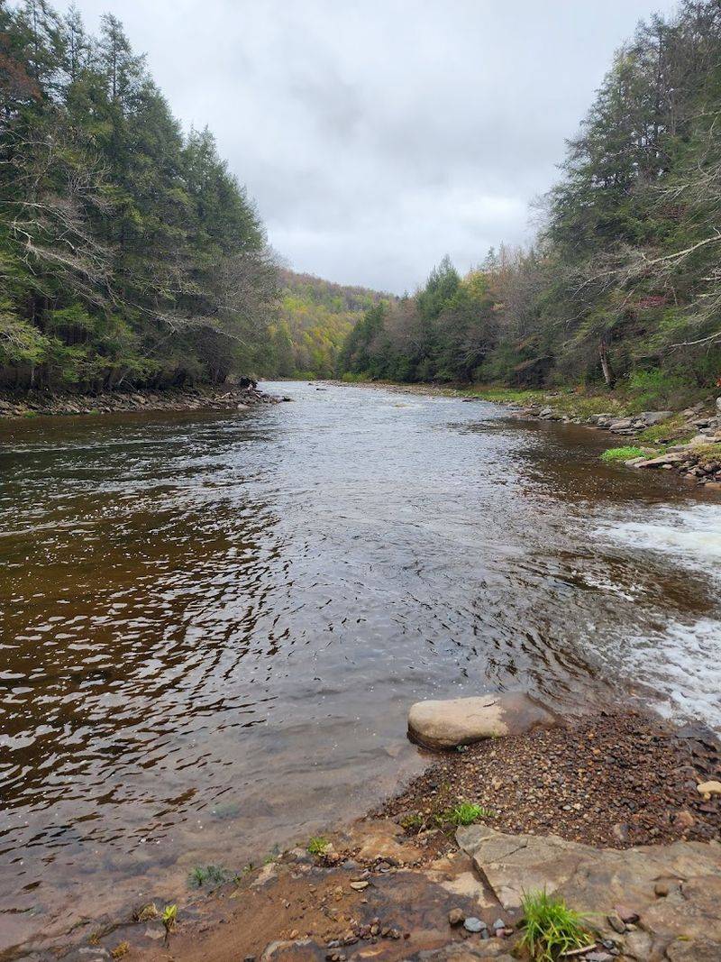 Loyalsock Creek