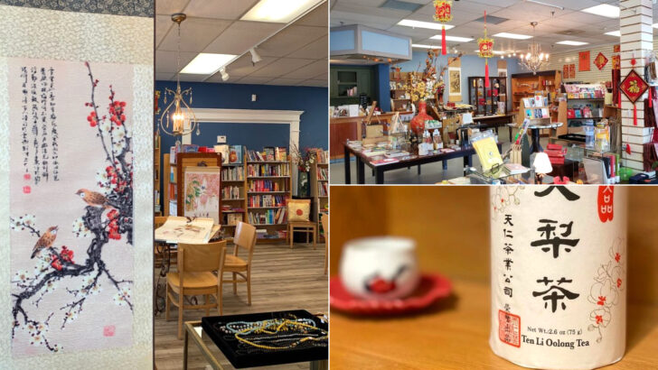 Readers Looking For Asian Literature Keep Discovering This Unique Georgia Bookstore