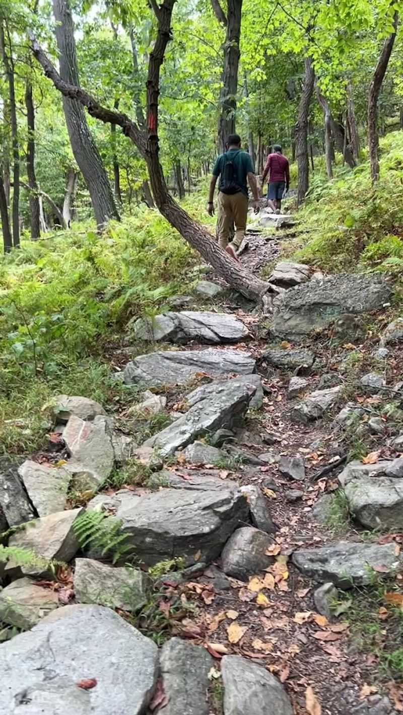 Lehigh Gap Fossil Exposure Areas