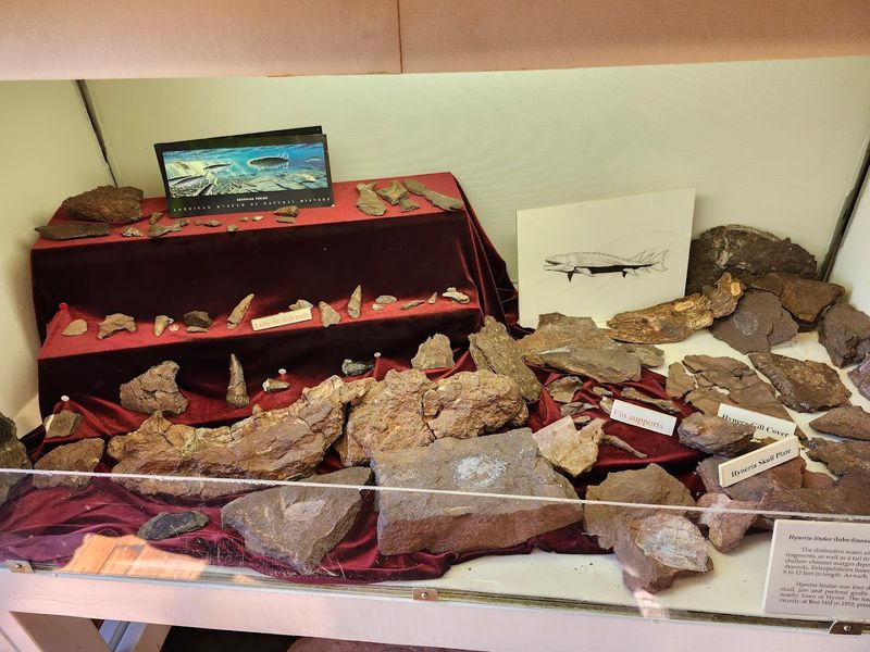 Red Hill Field Lab & Fossil Display