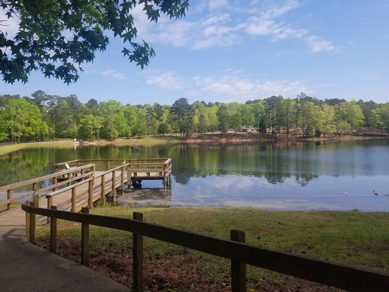 F.D. Roosevelt State Park - Pine Mountain, Harris County