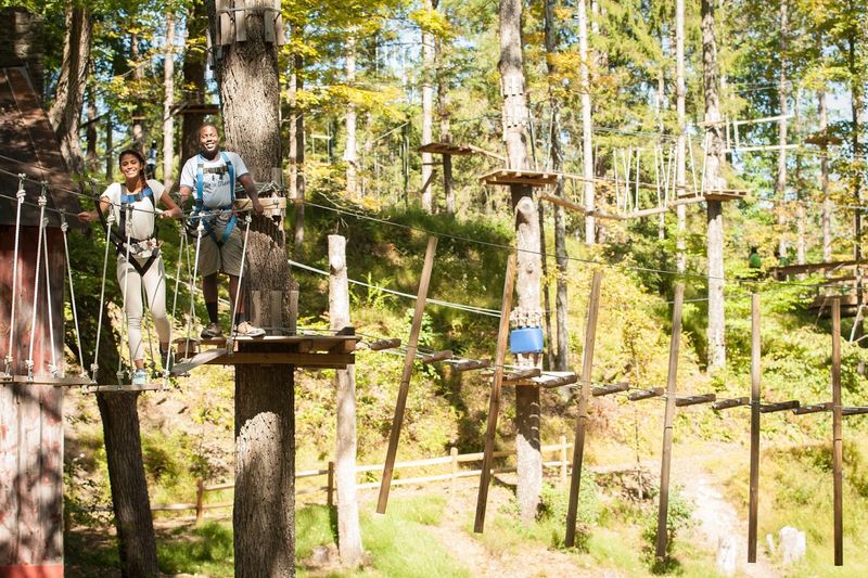 Pocono TreeVentures