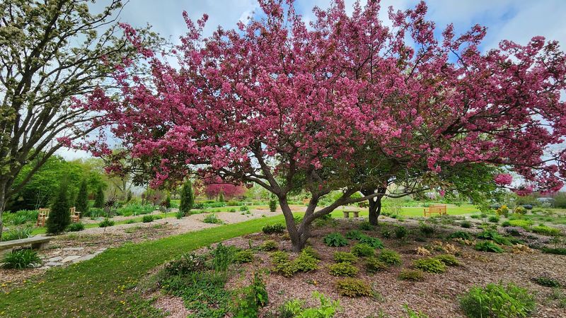 Iowa Arboretum - Madrid, Boone County