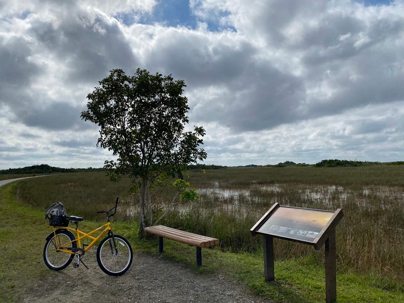 Biking Beats the Tram for True Nature Watching
