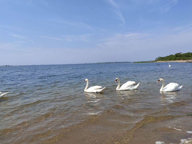 Jamaica Bay Wildlife Refuge