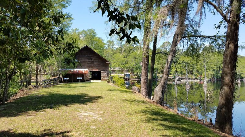 George L. Smith State Park Lake - Twin City
