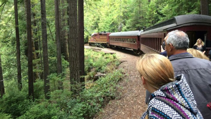 Ride a Vintage Train Through California&rsquo;s Towering Redwood Forests