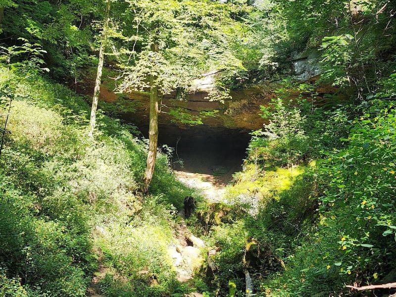 Hosak's Cave