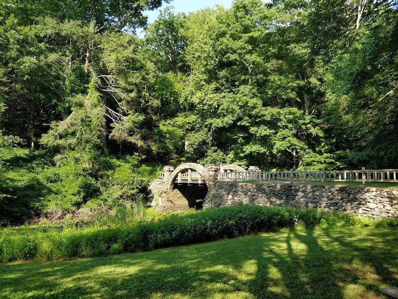 Trails, Bridge, And Pond Highlights