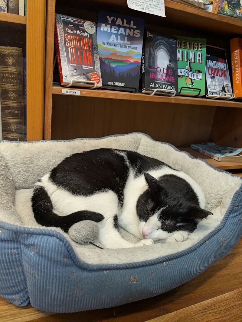 Shelf Life Books