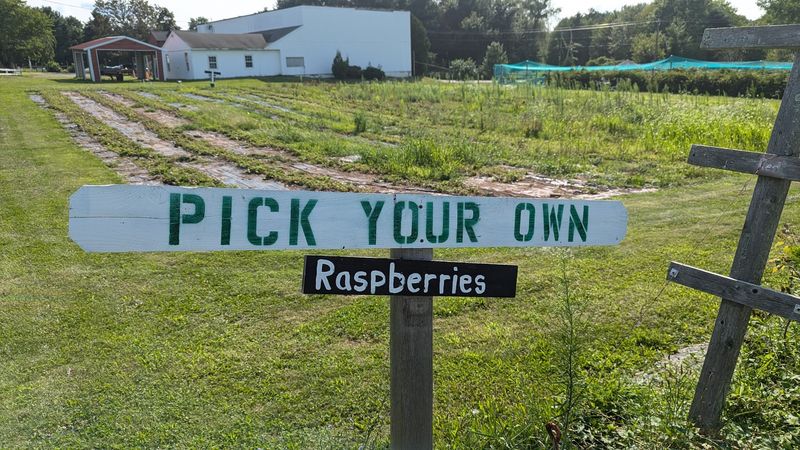 Drazen Orchards - Cheshire, New Haven County