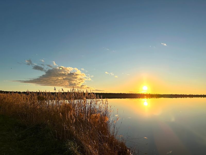 Lake Mattamuskeet National Wildlife Refuge - Swan Quarter, Hyde County