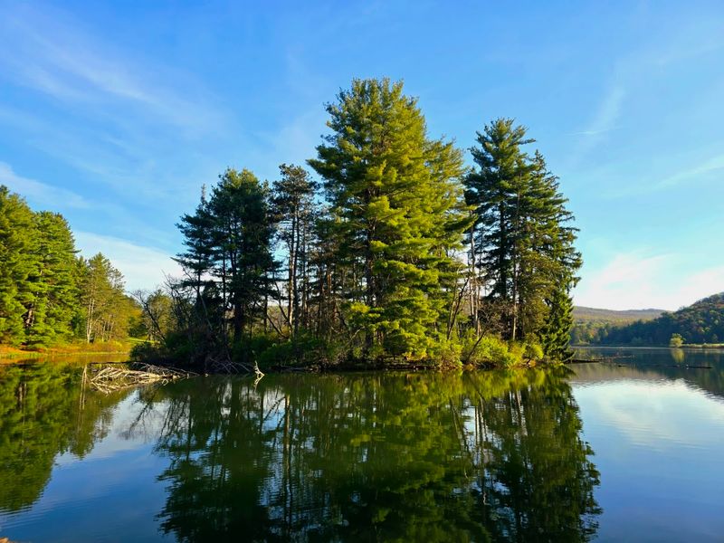 Allegany State Park, Salamanca, Cattaraugus County