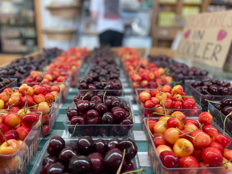 King Orchards, Central Lake, Antrim County